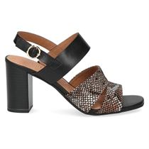 CTAS ALL STAR HI 2830428:Noir/Cuir, Synthétique/Cuir, Synthétique/Elastomère/black