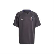 FUNNY DREAM POGBA JERSEY:Gris/Polyester/Polyester/ND/grey