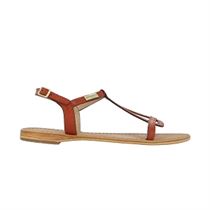 LINEAR ORG HAMESS:Rouge/Cuir/Cuir/Cuir/Brique