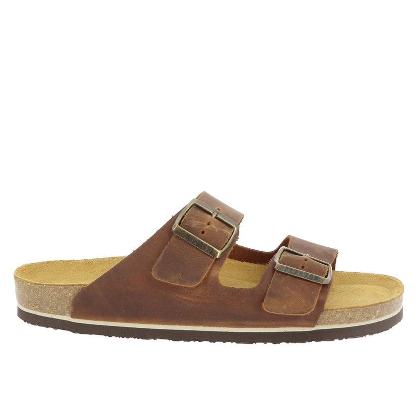 homme Plakton homme barna camel