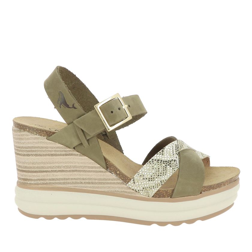 femme Plakton femme plantio vert