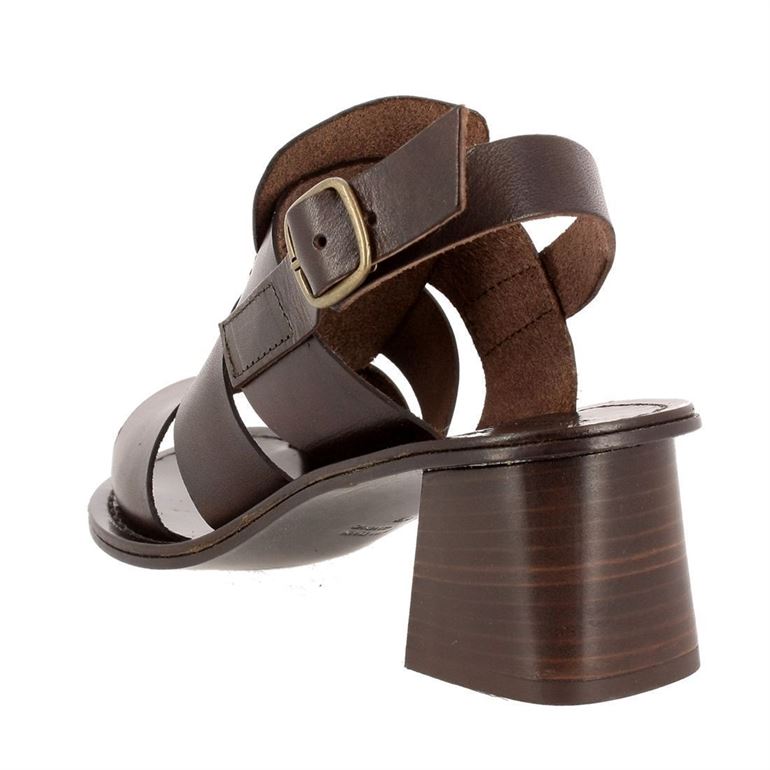 Antichi romani femme 405 marron1524501_5 sur voshoes.com