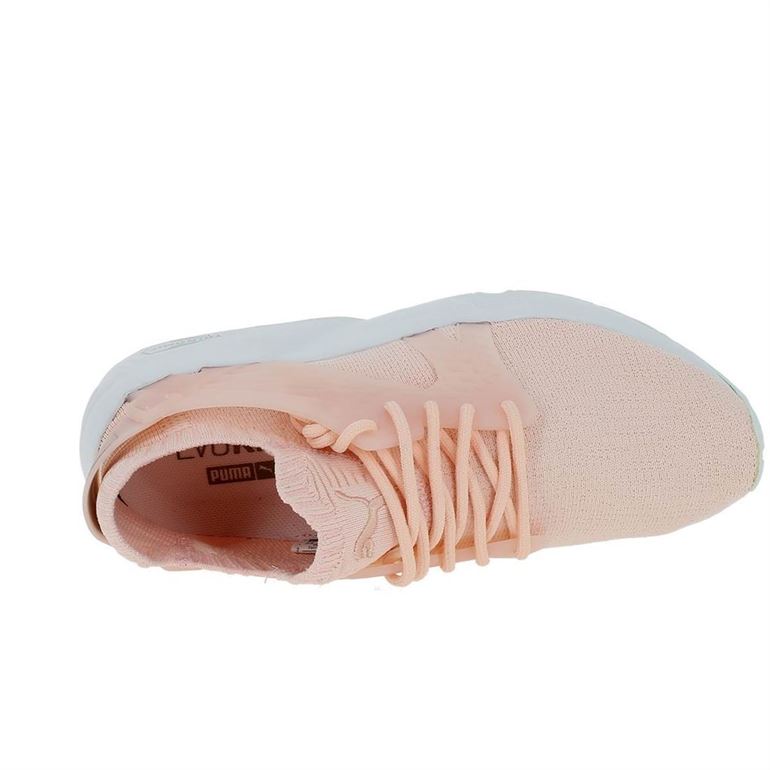 Puma femme blaze cage evo knit wns rose1558702_4 sur voshoes.com