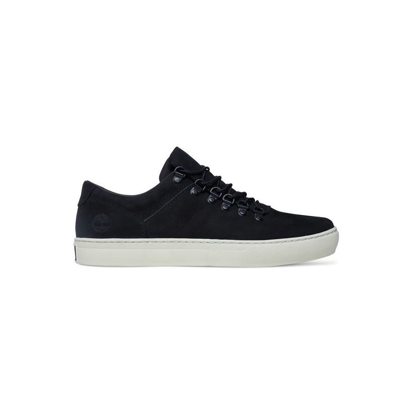 homme Timberland homme adv 2.0 cupsole alpi noir