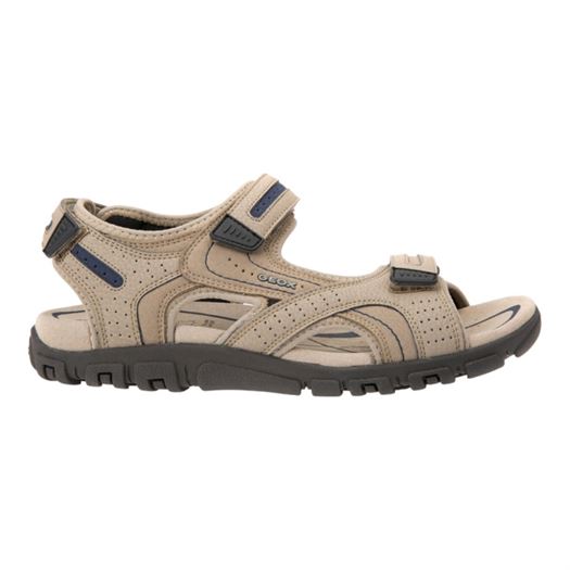 homme Geox homme strada beige