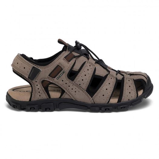 homme Geox homme strada b marron