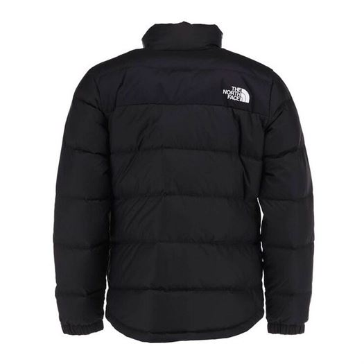 manteaux homme north face