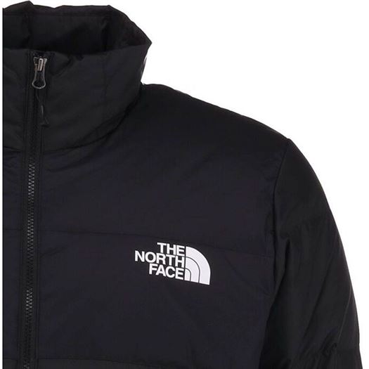 Vestes Hommes en Noir par The North Face