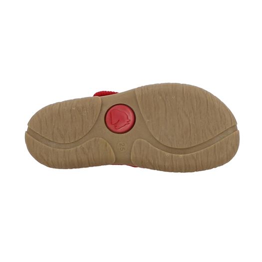 Haflinger fille fidelius luca kf rouge2175701_6 sur voshoes.com