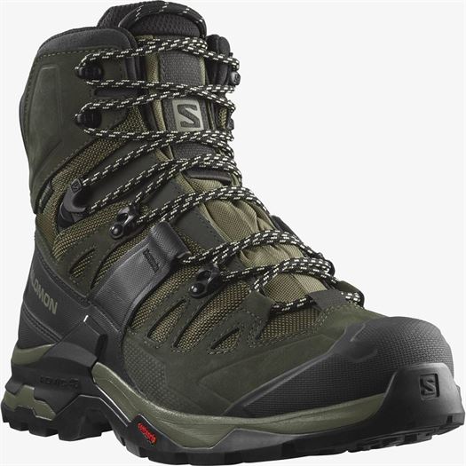 Salomon homme quest 4 gtx noir2176401_2 sur voshoes.com