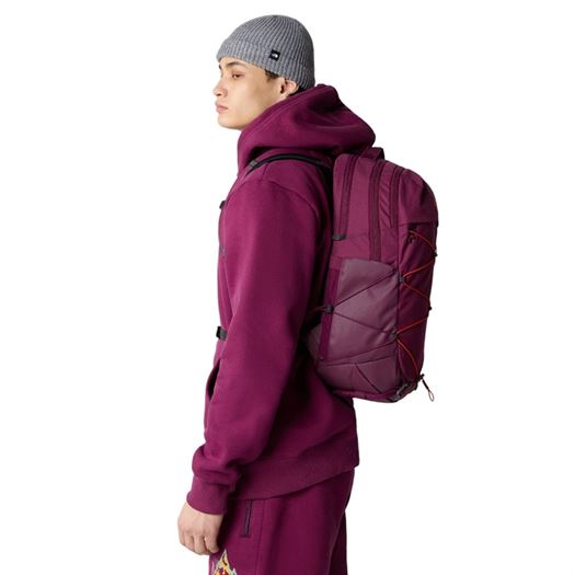 The north face femme borealis w boysenberry violet2273701_6 sur voshoes.com