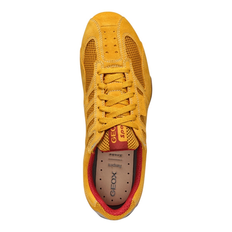 Geox homme u snake original jaune2645101_5 sur voshoes.com
