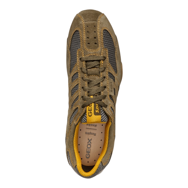 Geox homme u snake original vert2645103_5 sur voshoes.com