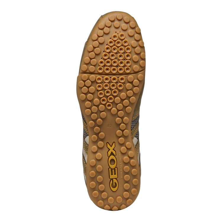 Geox homme u snake original vert2645103_6 sur voshoes.com